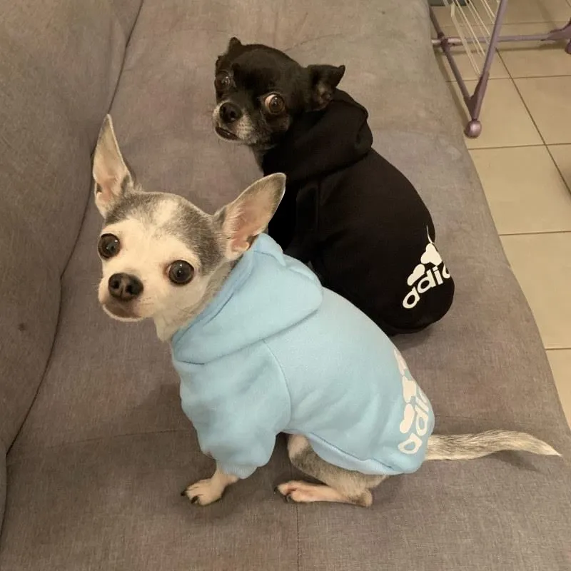 ⁦קפוצ’ון לכלב אדידוג Adidog – להלביש את כלבכם בסטייל!⁩ – תמונה ⁦2⁩