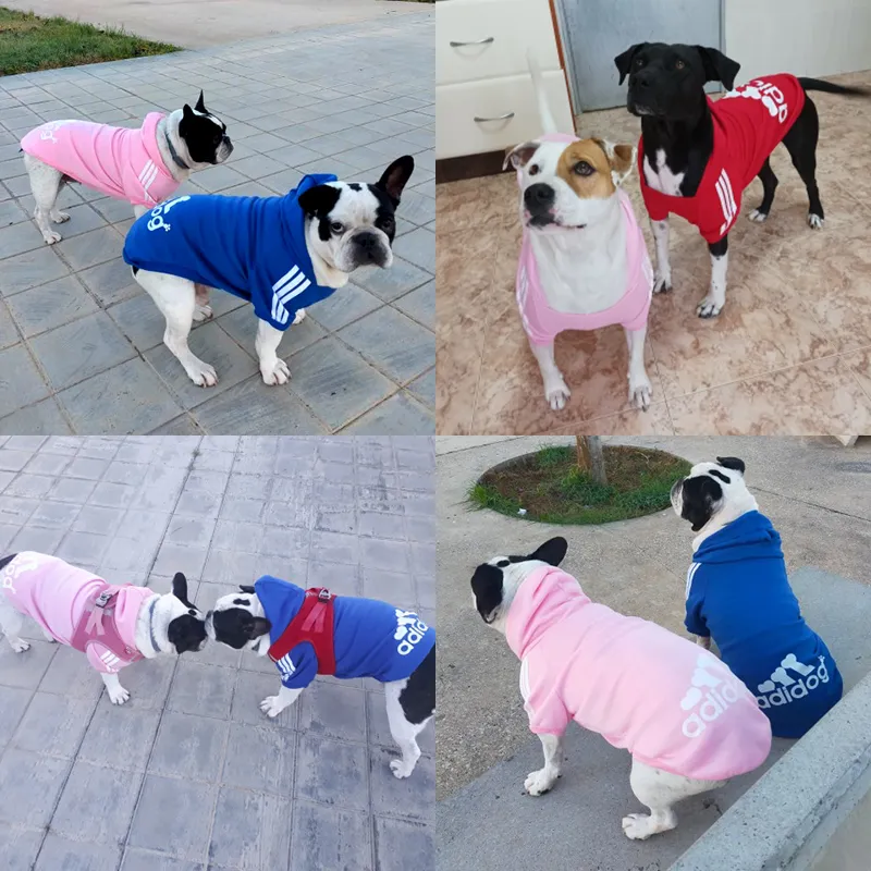קפוצ’ון לכלב אדידוג Adidog – להלביש את כלבכם בסטייל! קפוצ’ון לכלב אדידוג Adidog – להלביש את כלבכם בסטייל!