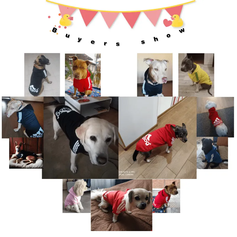 קפוצ’ון לכלב אדידוג Adidog – להלביש את כלבכם בסטייל! קפוצ’ון לכלב אדידוג Adidog – להלביש את כלבכם בסטייל!