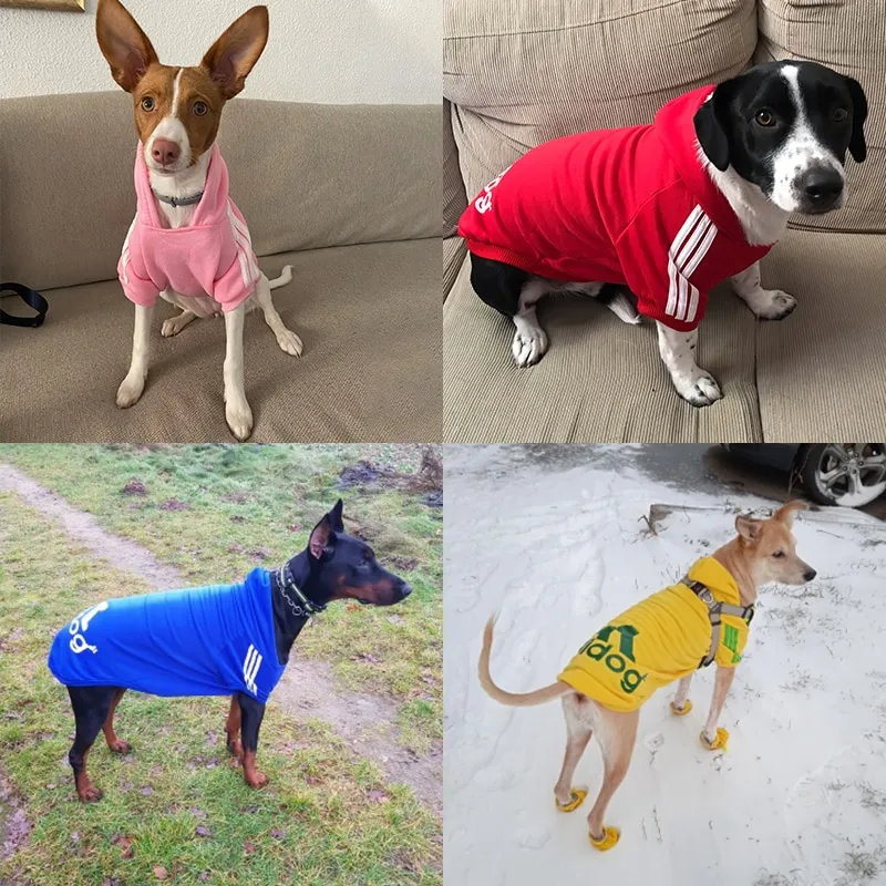 קפוצ’ון לכלב אדידוג Adidog – להלביש את כלבכם בסטייל! קפוצ’ון לכלב אדידוג Adidog – להלביש את כלבכם בסטייל!