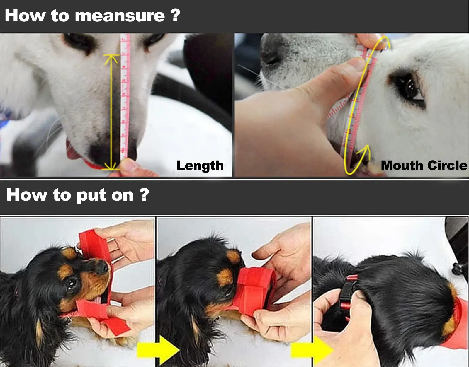 Anti Barking Dog Muzzle For Small Large Dogs Adjustable Mesh Breathable Pet Mouth Muzzles For Dogs Nylon Straps Dog Accessories Anti Barking Dog Muzzle For Small Large Dogs Adjustable Mesh Breathable Pet Mouth Muzzles For Dogs Nylon Straps Dog Accessories