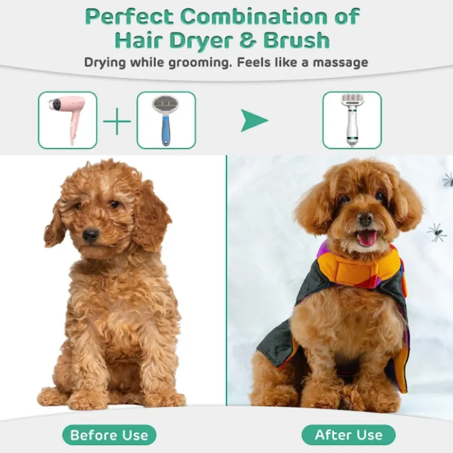 Pet Hair Dryer 2 with Slicker Brush Grooming for Cat and Dog Brush Professional Home Grooming Furry Drying Portable Dog Blower Pet Hair Dryer 2 with Slicker Brush Grooming for Cat and Dog Brush Professional Home Grooming Furry Drying Portable Dog Blower