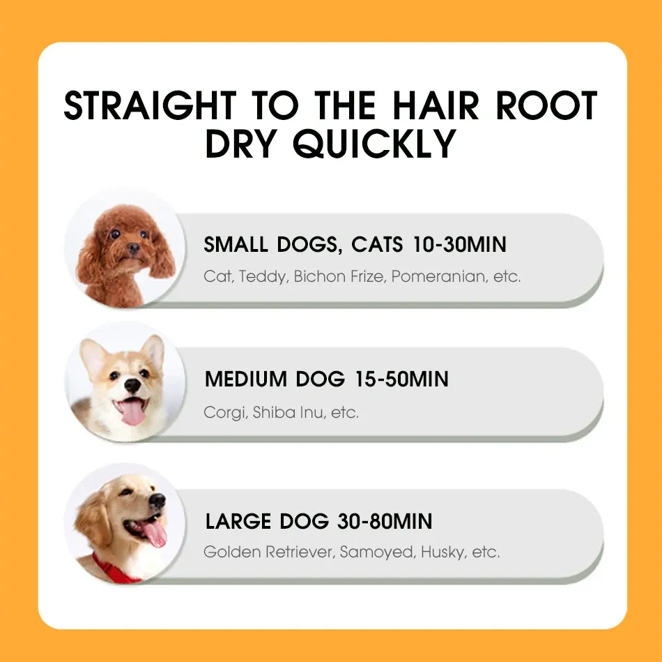 Pet Hair Dryer 2 with Slicker Brush Grooming for Cat and Dog Brush Professional Home Grooming Furry Drying Portable Dog Blower Pet Hair Dryer 2 with Slicker Brush Grooming for Cat and Dog Brush Professional Home Grooming Furry Drying Portable Dog Blower