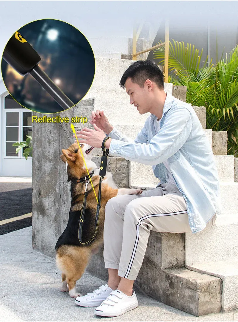 1.3M Dog Leash Anti-Explosion Reflective Stripe String Metal Clasp Easy Lock Cylindrical Comfortable Grip Handle Pet Puppy Leash 1.3M Dog Leash Anti-Explosion Reflective Stripe String Metal Clasp Easy Lock Cylindrical Comfortable Grip Handle Pet Puppy Leash