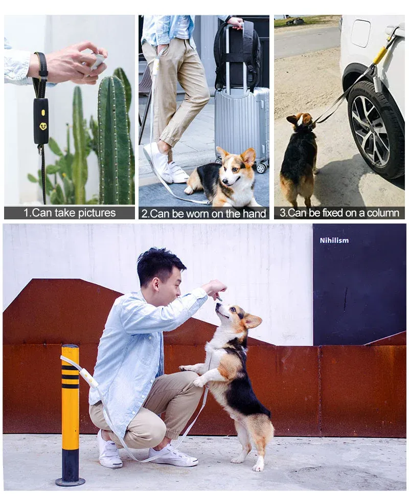 1.3M Dog Leash Anti-Explosion Reflective Stripe String Metal Clasp Easy Lock Cylindrical Comfortable Grip Handle Pet Puppy Leash 1.3M Dog Leash Anti-Explosion Reflective Stripe String Metal Clasp Easy Lock Cylindrical Comfortable Grip Handle Pet Puppy Leash