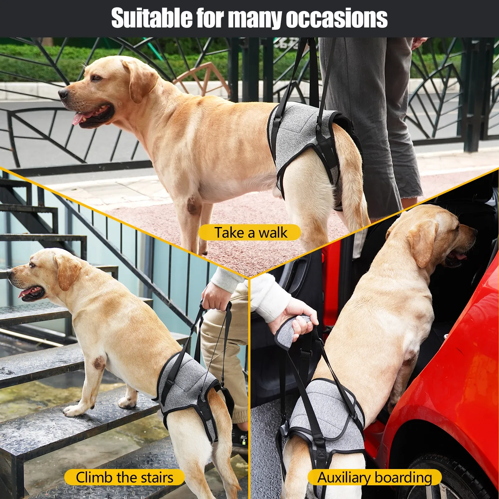 Dog Lift Harness for Large Dogs Soft Padded Adjustable Dog Back Leg Sling for Old Disabled Joint Injuries Pet Rear Leg Support Dog Lift Harness for Large Dogs Soft Padded Adjustable Dog Back Leg Sling for Old Disabled Joint Injuries Pet Rear Leg Support