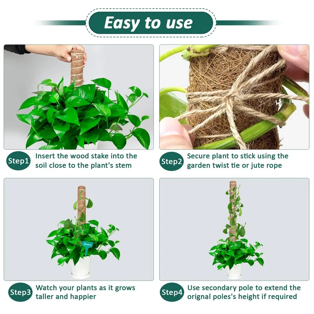 30/40/50cm Moss Pole for Indoor Climbing Plants Creepers to Grow Upwards Plant Support with Garden Ties 30/40/50cm Moss Pole for Indoor Climbing Plants Creepers to Grow Upwards Plant Support with Garden Ties