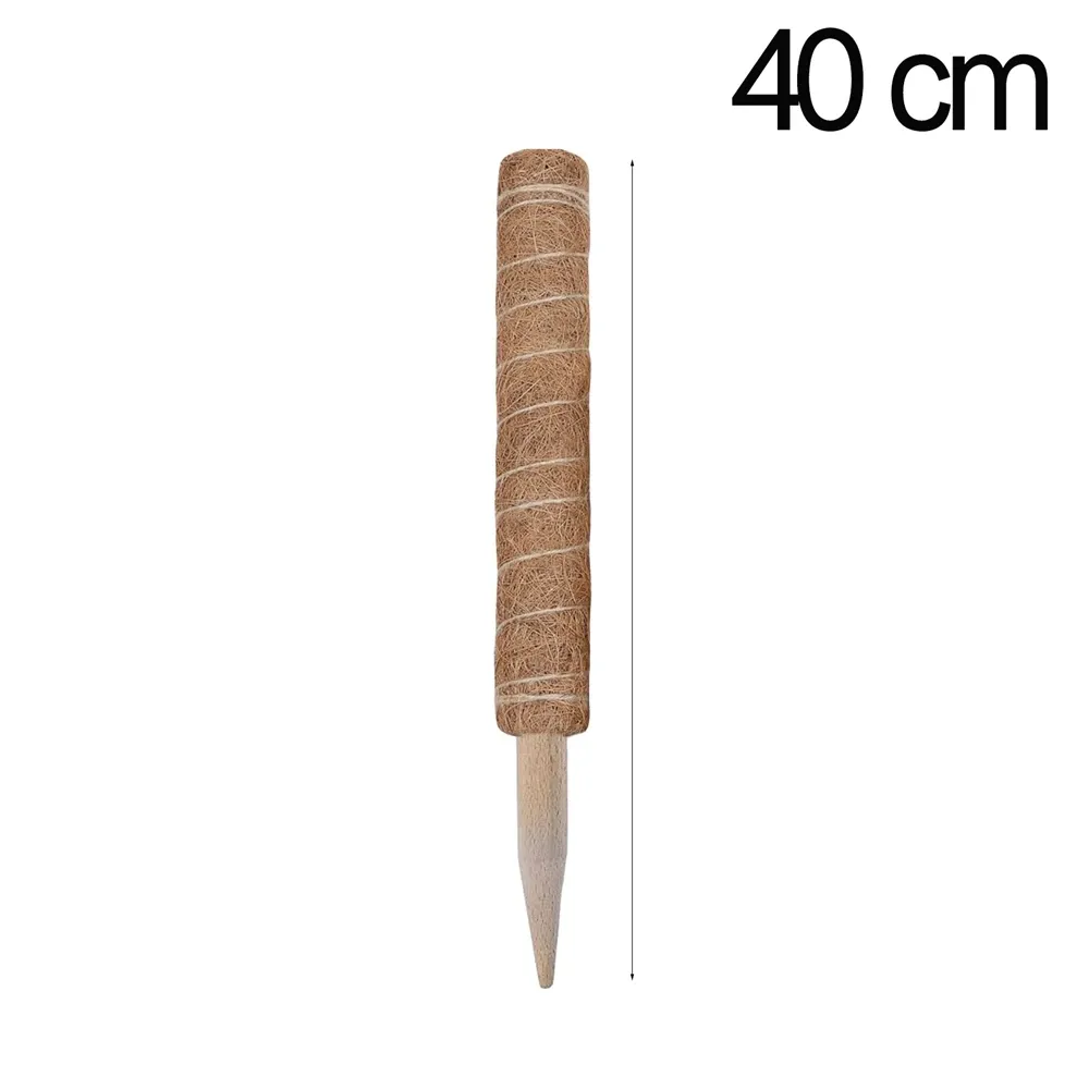 40 ס״מ