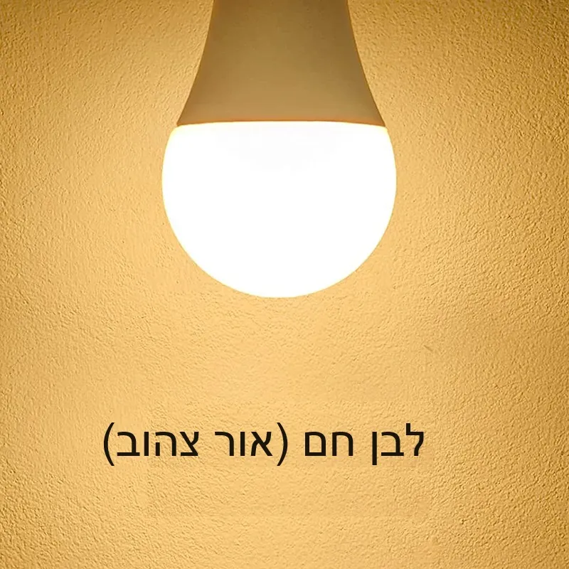 מארז 10 יח׳ נורות לד – תמונה 9