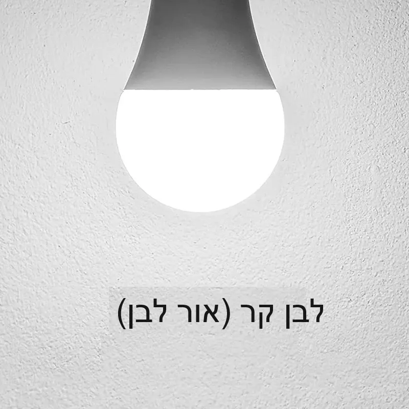 מארז 10 יח׳ נורות לד – תמונה 8