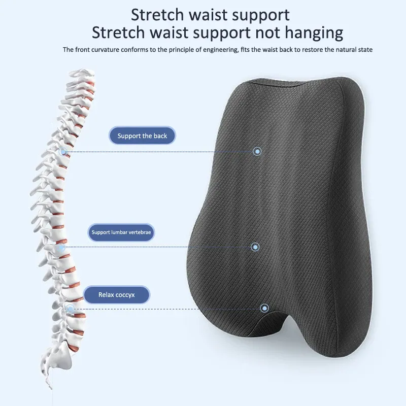 Memory Foam Seat Cushion Waist Back Support Pillow Set Orthopedic Ergonomic Coccyx Relief Hip Lumbar Pad for Office Chair Car Memory Foam Seat Cushion Waist Back Support Pillow Set Orthopedic Ergonomic Coccyx Relief Hip Lumbar Pad for Office Chair Car