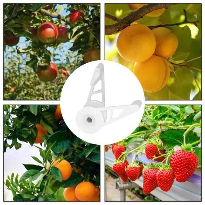 ⁦מכופפי צמחים מתכווננים 360 מעלות – מארז 10 יחידות⁩ – תמונה ⁦6⁩