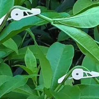 מכופפי צמחים מתכווננים 360 מעלות – מארז 10 יחידות