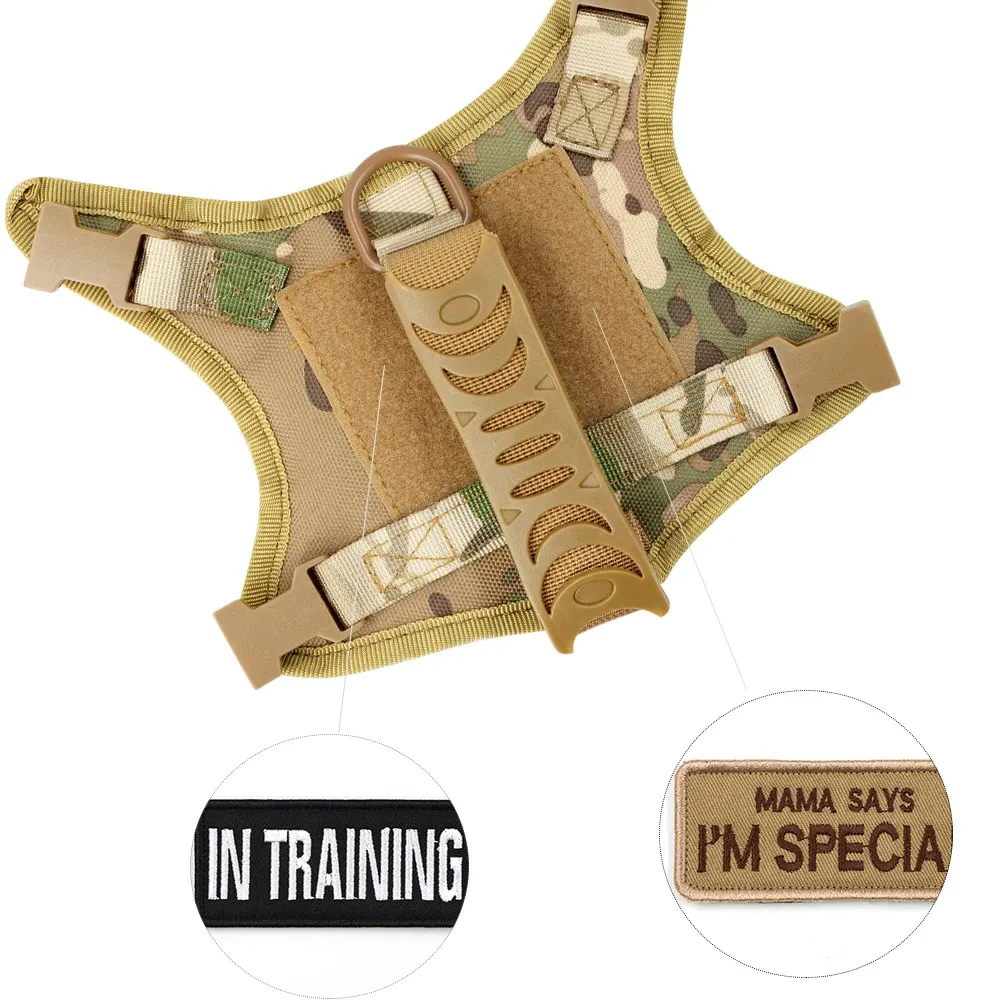 ⁦רתמה טקטית לכלבים קטנים וחתולים עם גודל מתכוונן⁩ – תמונה ⁦4⁩