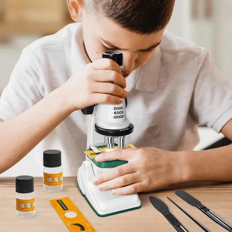 ⁦ערכת מיקרוסקופ לילדים עם הגדלה עד 1200 ותאורת LED⁩ – תמונה ⁦4⁩