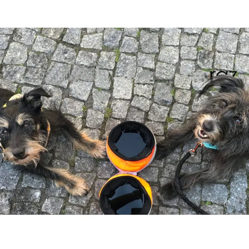 ⁦קערת טיולים מתקפלת לכלב עם 2 תאים לאוכל ומים⁩ – תמונה ⁦4⁩