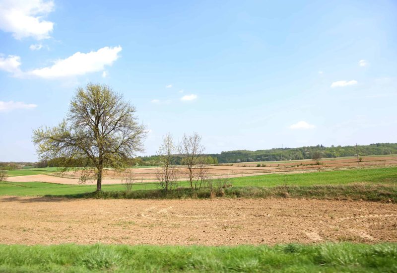 Springtime view of extensive farmland in the countryside.