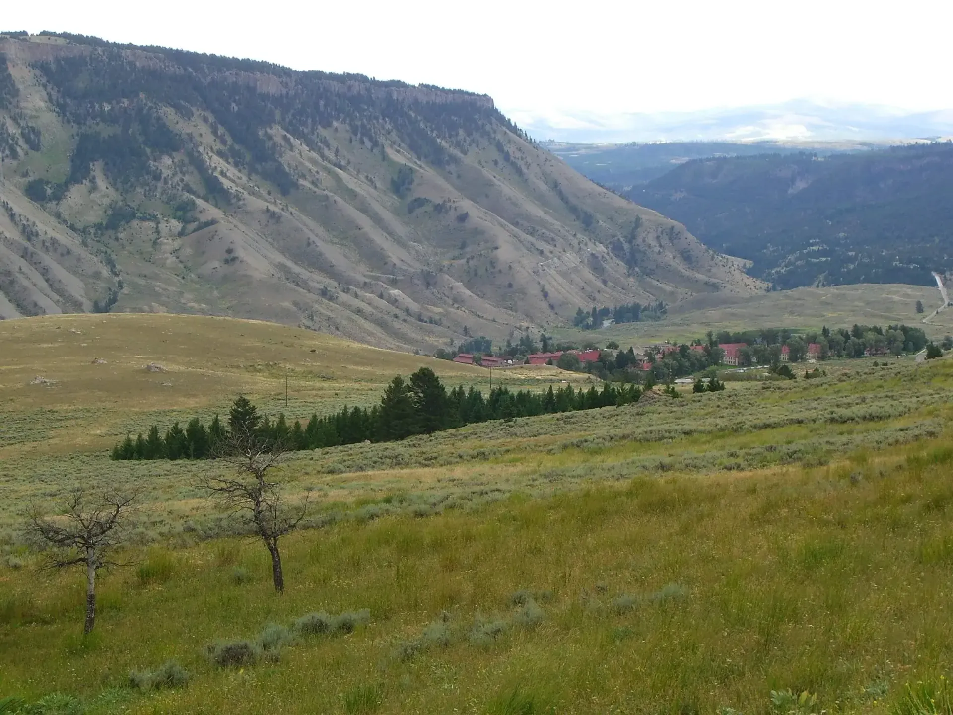 yellowstone_mammoth_hot_springs_von_huegeln Yellowstone-Nationalpark: Blick von den südlichen Hügeln auf Mammoth Hot Springs