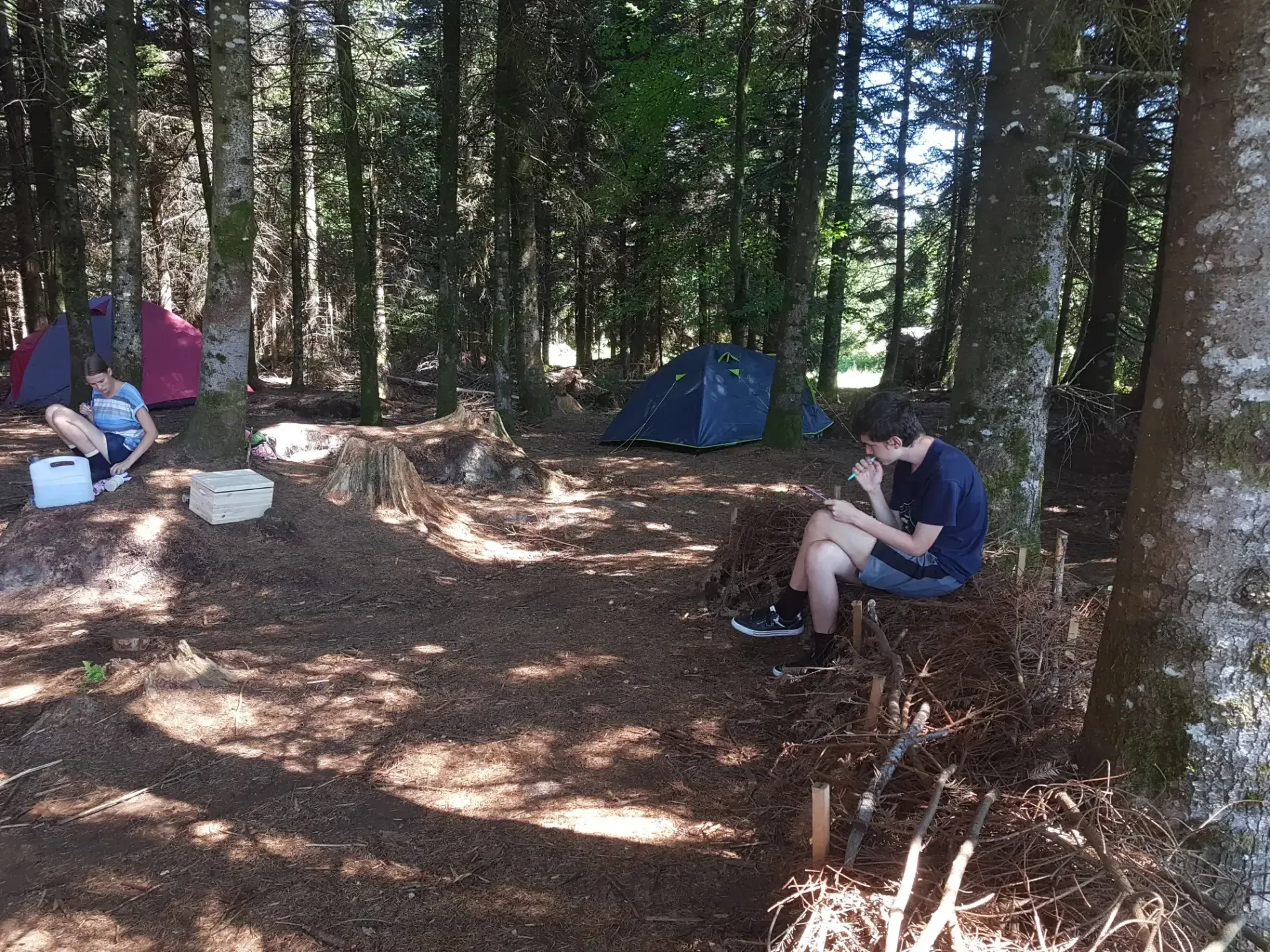 magic_campus_camp1_antriebskraftcoaching Magic Campus: Jugendliche im Antriebskraft-Prozess im Wald