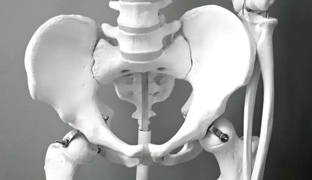 SI Joint Injection in Grand Prairie, TX | Non-Surgical Options 1 Medical illustration showing sacroiliac joint location and surrounding pelvic anatomy