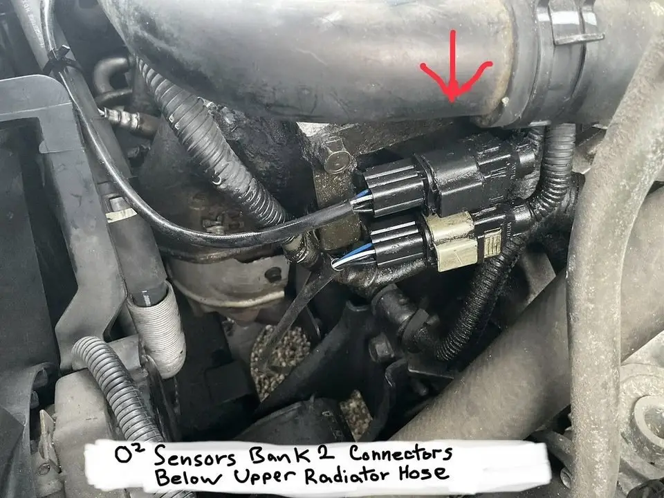 Oxygen sensor connectors in an engine bay, labeled bank 2, below the upper radiator hose