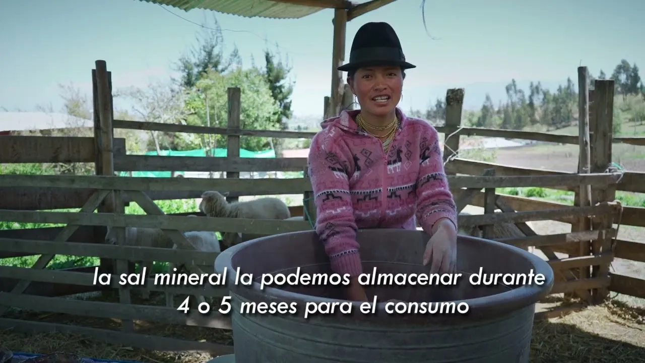 Sal mineral casera para animales de granja