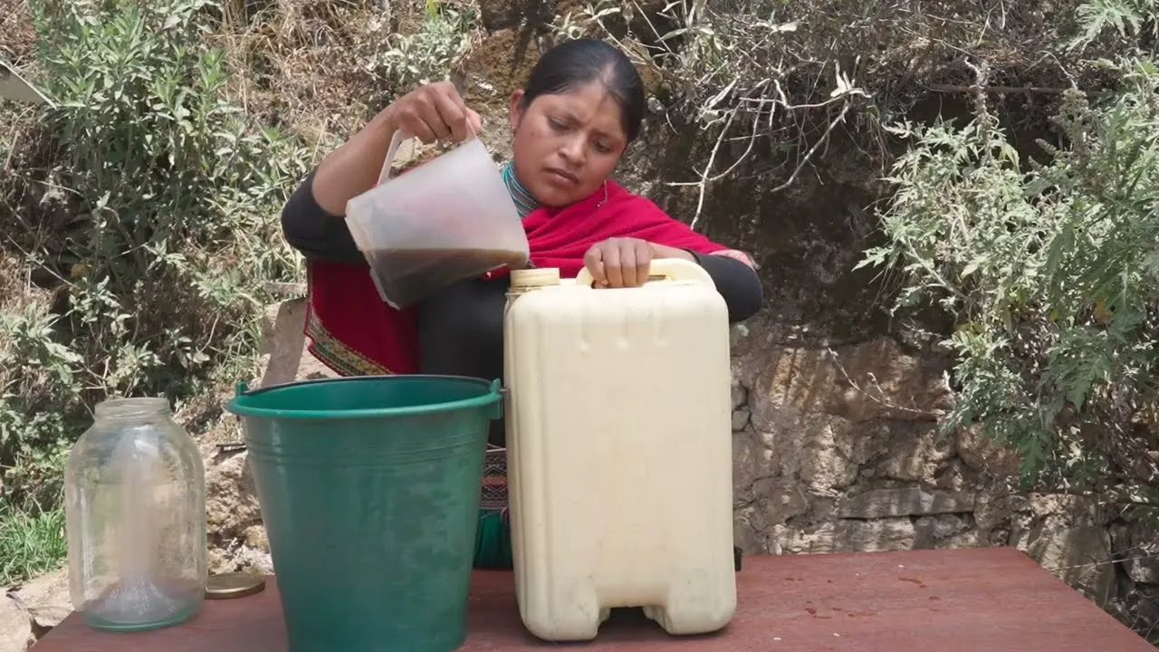 Cultivo de bacterias ácido lácticas