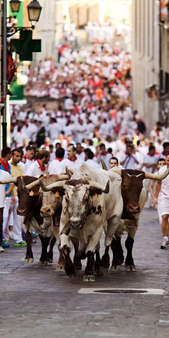 San Fermin festival