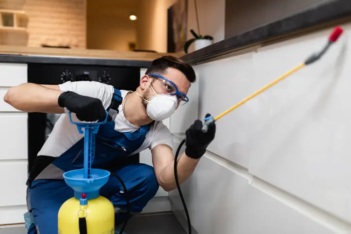A professional pest control technician wearing safety gear applying a pet-safe indoor spider treatment along kitchen baseboards.