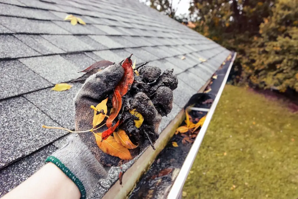 TJ Handyman Services gloved hand removing wet leaves and debris from a roof gutter during a gutter cleaning service in Orlando, FL.