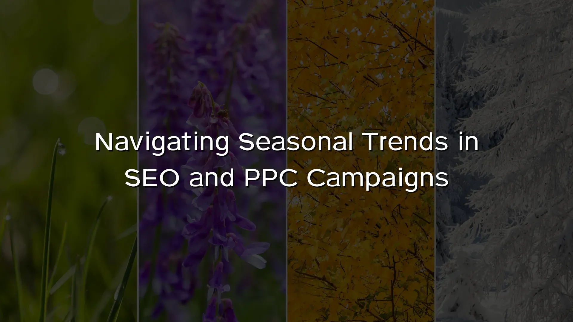Navigating Seasonal Trends in SEO and PPC Campaigns Navigating Seasonal Trends in SEO and PPC Campaigns