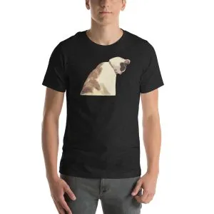 Unisex Staple T-Shirt Black Heather Front