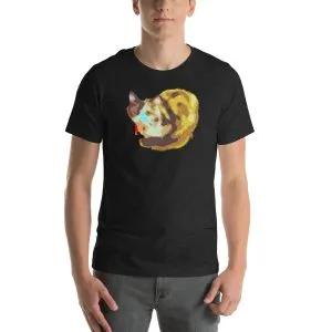 Unisex Staple T-Shirt Black Heather Front
