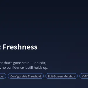 Tridigiam Content Freshness Auditor