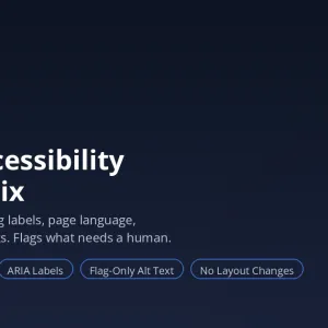 Tridigiam Divi Accessibility Quick-Fix