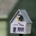 Construire Maisons d'Oiseaux