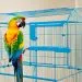 cages pour perroquets