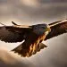oiseau symbolise la force