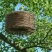 perchoir pour oiseaux