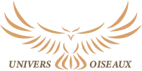 Universoiseaux