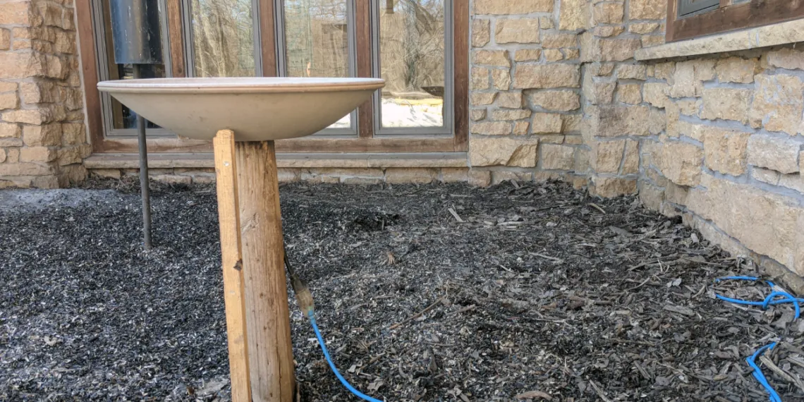 Abreuvoir chauffant pour oiseaux en hiver avec eau hors gel
