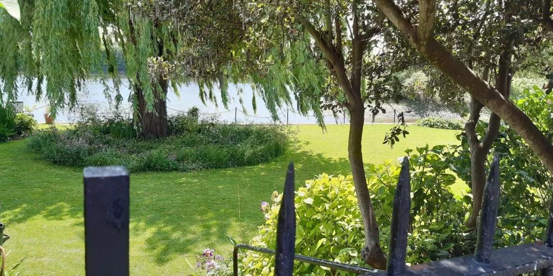 Allรฉe ombragรฉe bordรฉe de vรฉgรฉtation dans un jardin.