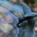bain dโoiseaux solaire peu profond dans un jardin pour attirer les oiseaux