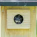 camรฉra pour nichoir installรฉe discrรจtement pour observer les oiseaux sans les dรฉranger