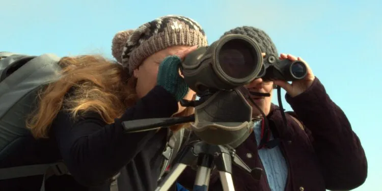 Longue-vue oiseaux installée sur trépied pour observer les oiseaux à distance