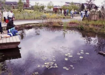 Petite mare de jardin bordée de végétation.