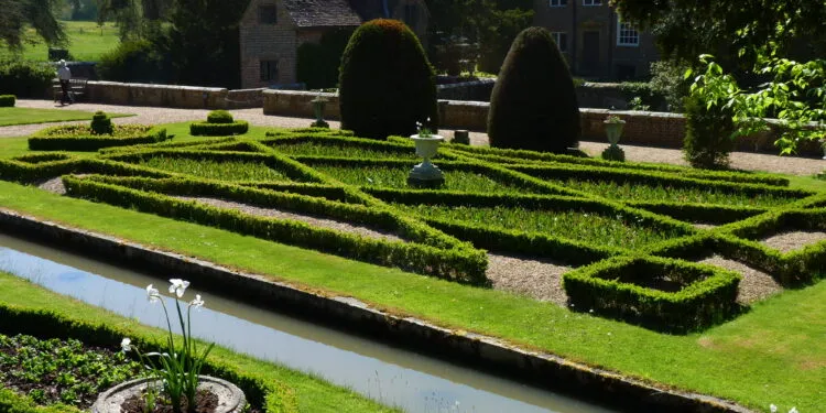 Mur couvert de lierre vert dans un jardin.