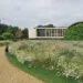 Prairie fleurie avec herbes hautes dans un jardin.
