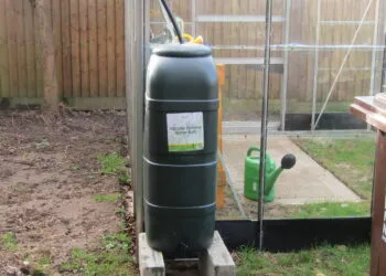Rรฉcupรฉrateur dโeau de pluie installรฉ dans un jardin.