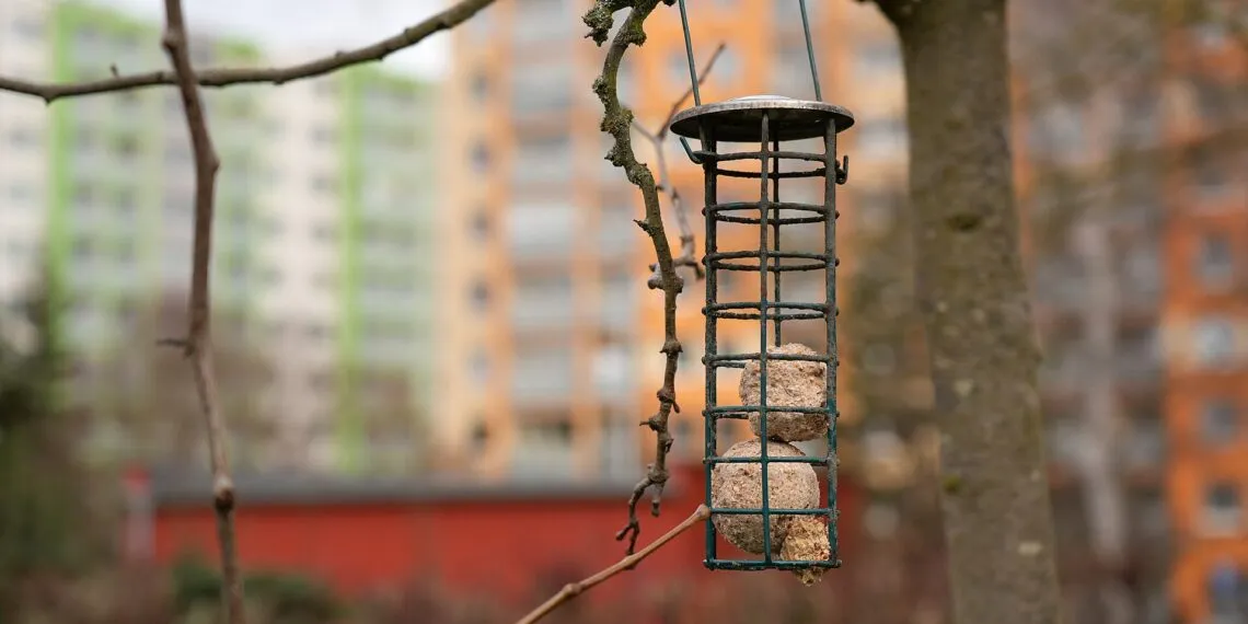 Support ร boules de graisse pour oiseaux sans filet plastique